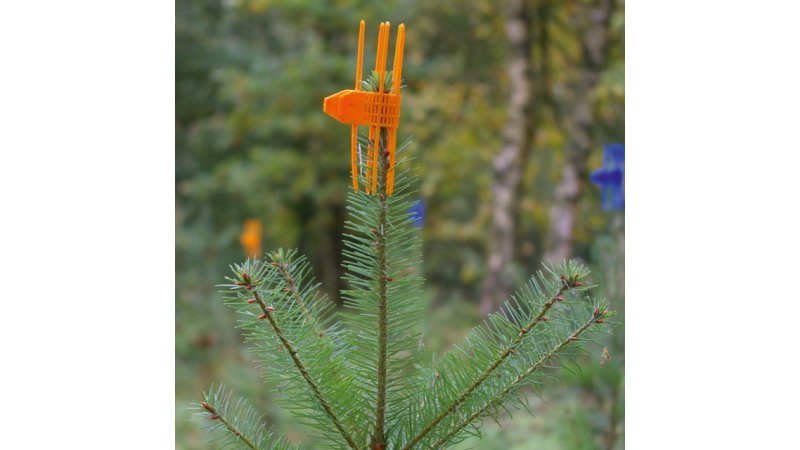 PlantaGard Cactus, Farbe orange. Inhalt 100 Stck.  Wilde.sk